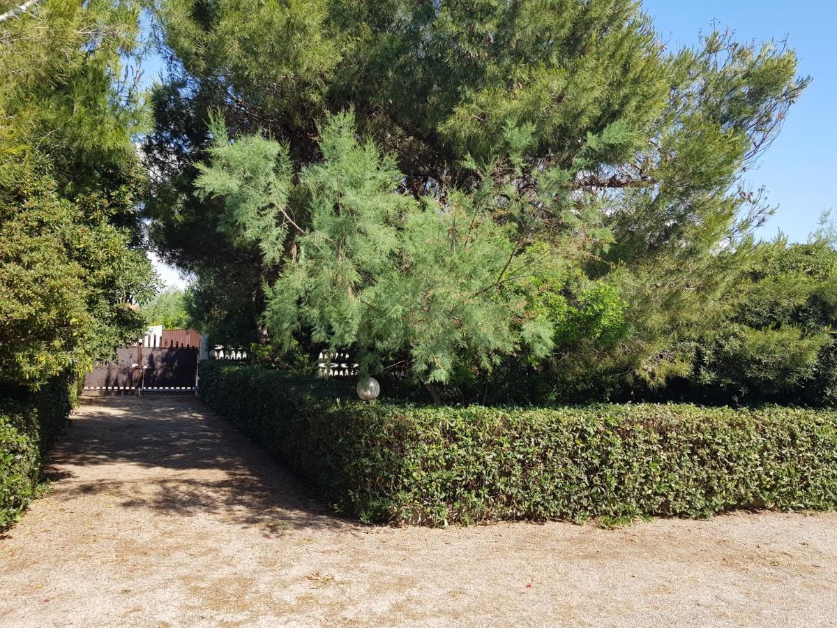 Villa Cino Punta Prosciutto Exterior photo