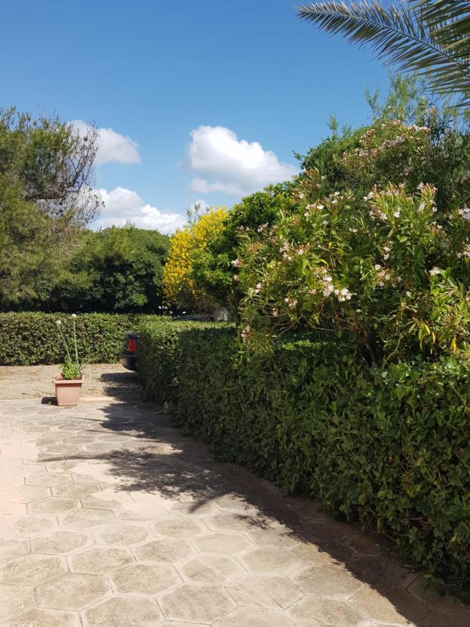 Villa Cino Punta Prosciutto Exterior photo