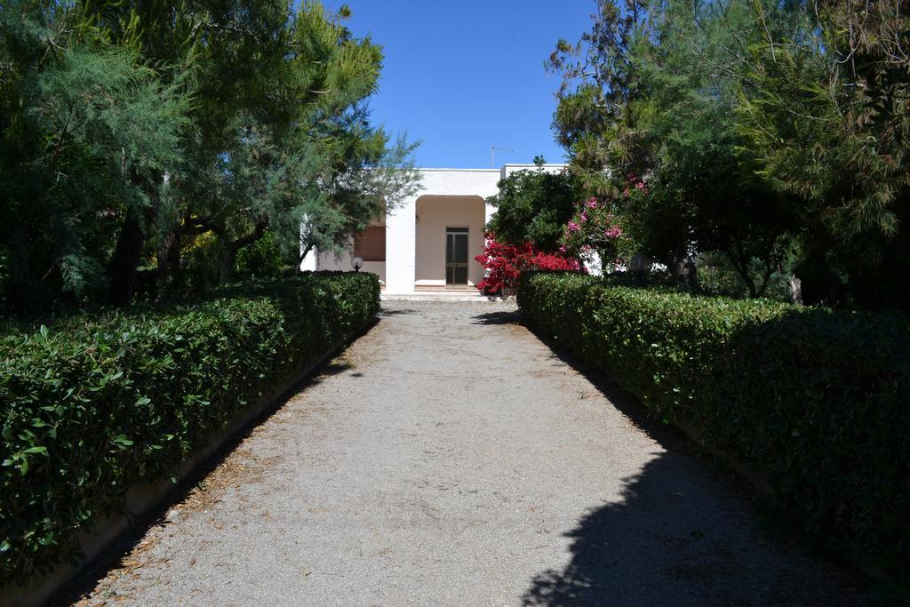 Villa Cino Punta Prosciutto Exterior photo
